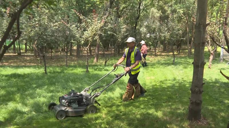 綠化養(yǎng)護(hù)9